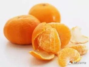 小呆吃泥瓜,小呆的泥瓜探险记