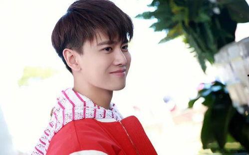 吃瓜张天爱任嘉伦,揭秘娱乐圈幕后故事