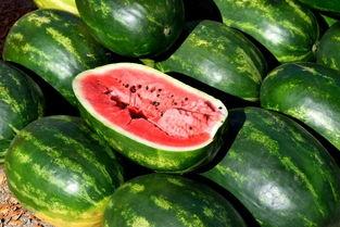 灰灰吃瓜,揭秘娱乐圈背后的那些事儿