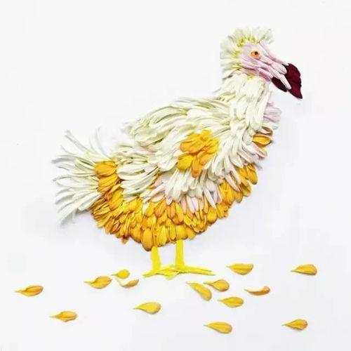 花瓣吃瓜日常教科书,揭秘校园里的甜蜜与苦涩