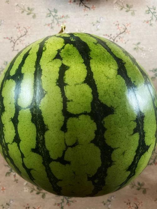 吃瓜动作表演视频大全,趣味十足！吃瓜动作表演视频大盘点