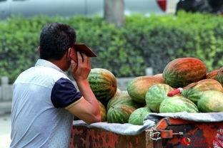 坐路边吃瓜,见证人间百态