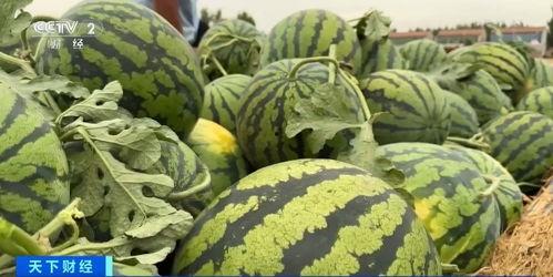 商丘女骑吃瓜,一场网络热议背后的社会现象解析