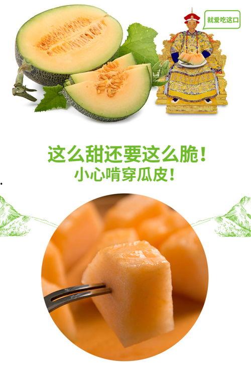 吃拉丝蜜瓜,探寻拉丝蜜瓜的独特魅力