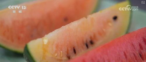 吃瓜微脉圈,揭秘网络热议背后的真相与趣味