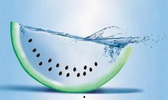 吃瓜喝水打秋风,吃瓜喝水，品味生活百态