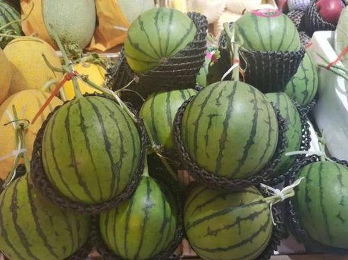 销售跟客户吃瓜,销售与客户共度美好时光