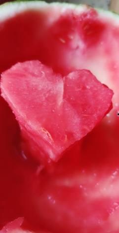 荣耀90吃瓜,揭秘网红手机背后的吃瓜故事