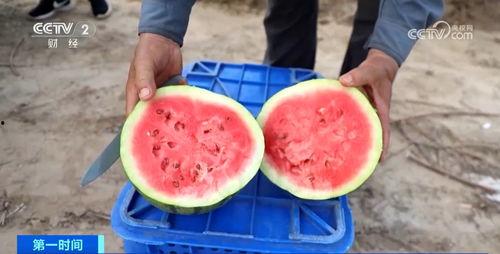 吃瓜群众5000,揭秘娱乐圈最新热点事件