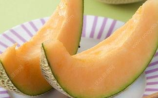 冬天吃哪种哈密瓜好一些,冬季最佳哈密瓜选择指南