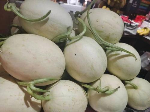 吃瓜协会海南,吃瓜协会的甜蜜瓜果之旅