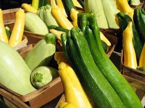 吃小瓜有营养,揭秘吃小瓜的营养价值与养生益处