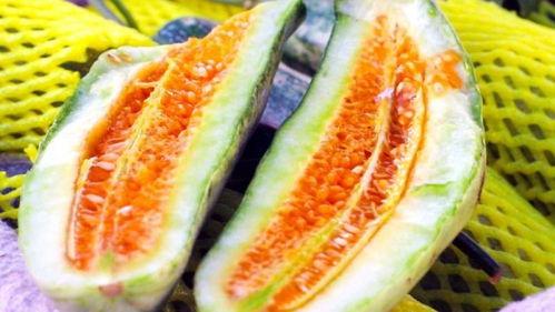 上热门种瓜吃瓜,网络热门事件背后的真相与反思