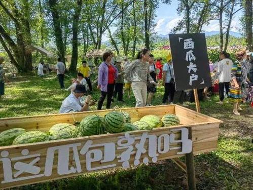 林高远吃瓜群众,瓜田里的明星，吃瓜群众的焦点